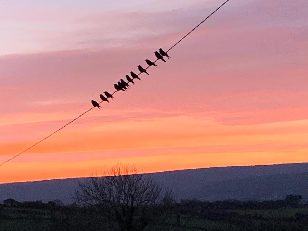 Burren Court Lodge バリーボーン エクステリア 写真