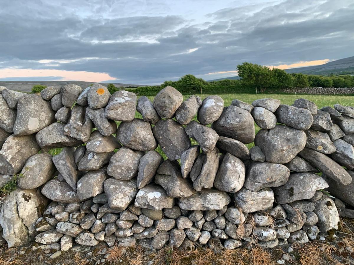 Burren Court Lodge バリーボーン エクステリア 写真